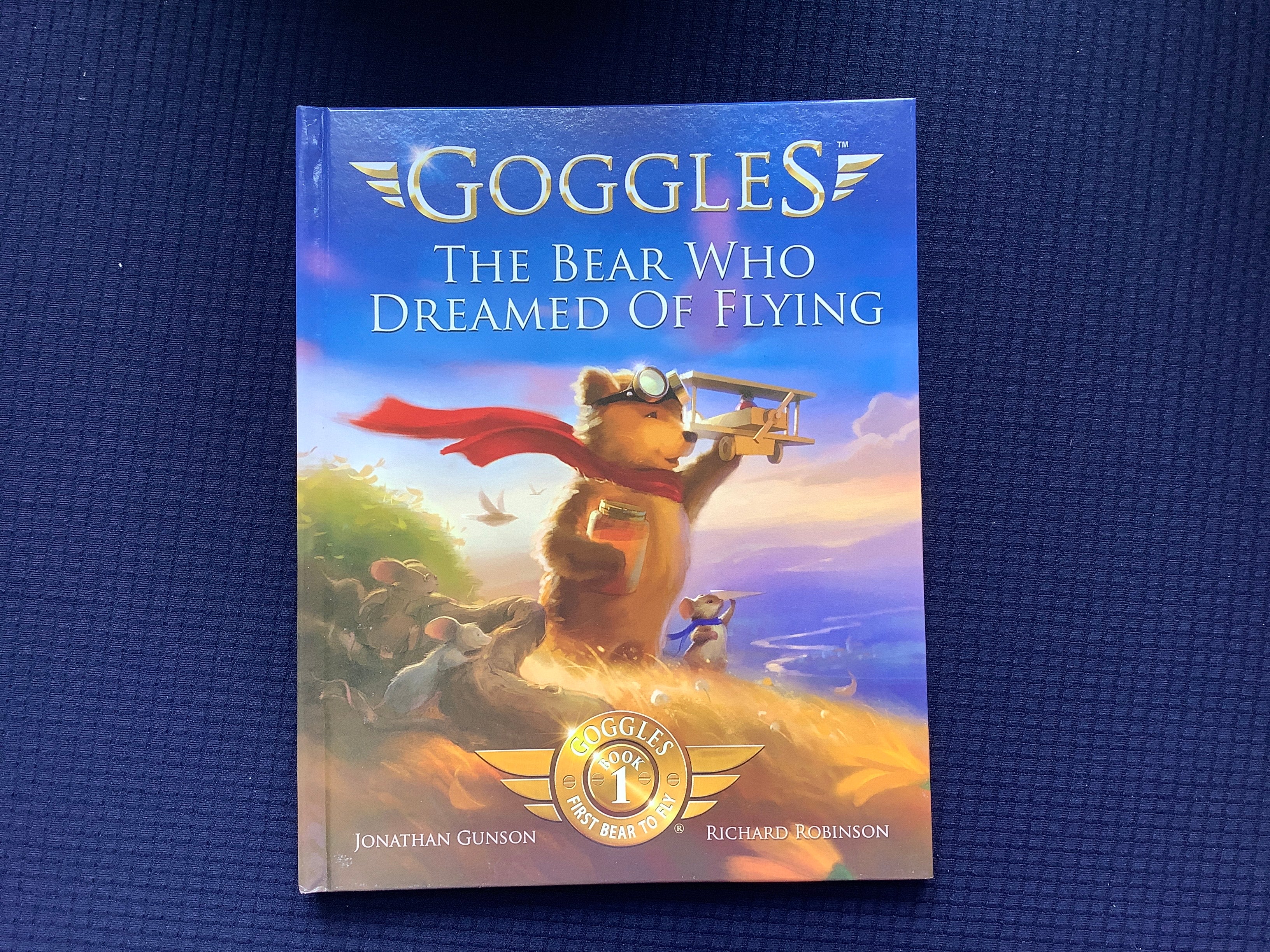 Goggles: The Bear Who Dreamed of Flyimg