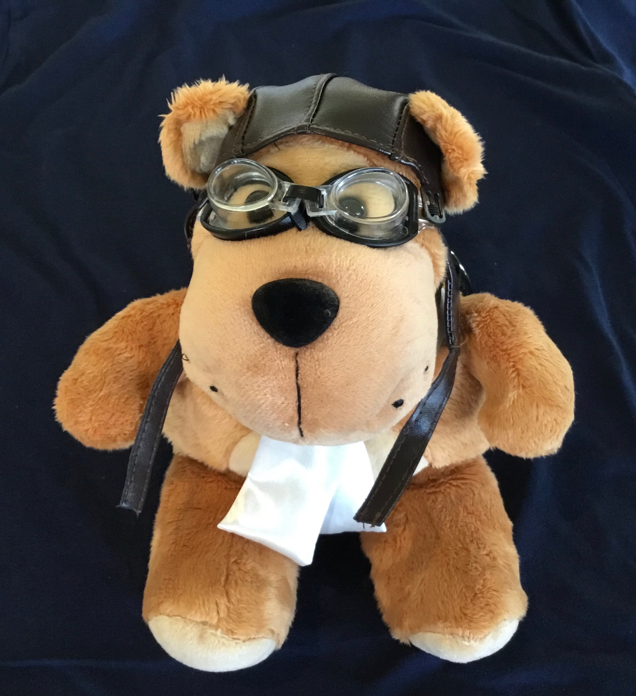 Born Pilot Teddy